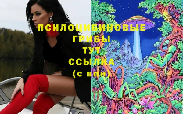 прущий лед Осинники