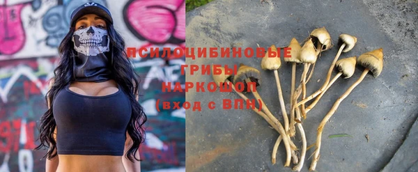 прущий лед Осинники