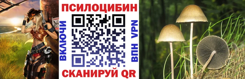 где продают   Заводоуковск  Галлюциногенные грибы Psilocybine cubensis 
