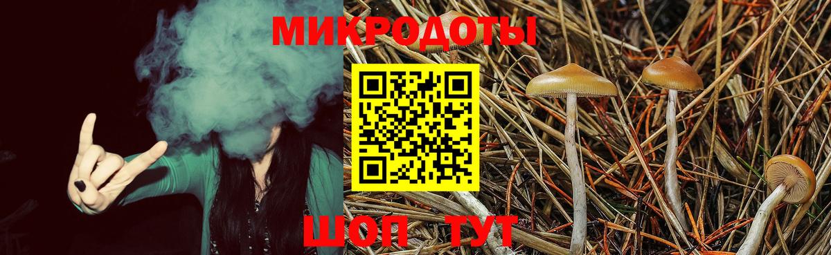 Псилоцибиновые грибы мицелий Заводоуковск