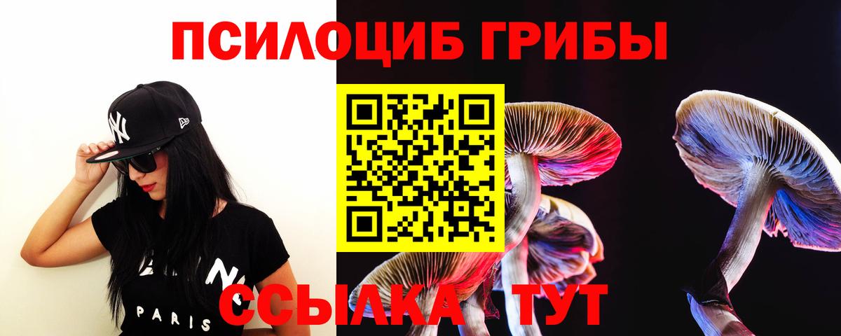 Псилоцибиновые грибы GOLDEN TEACHER  Вход с VPN  Заводоуковск 