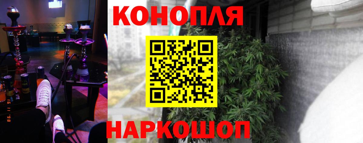 Шишки марихуана сатива  Вход с VPN  Конопля планчик  Конопля THC 21%  Заводоуковск  Конопля марихуана 